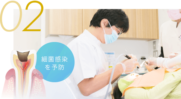 02 細菌感染を予防